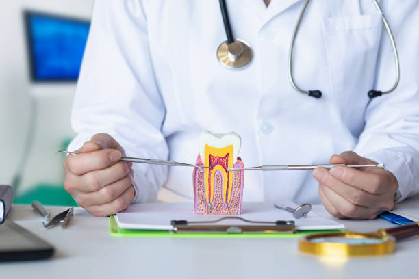 Best Urgent Tooth Repair  in Huntingdon, TN
